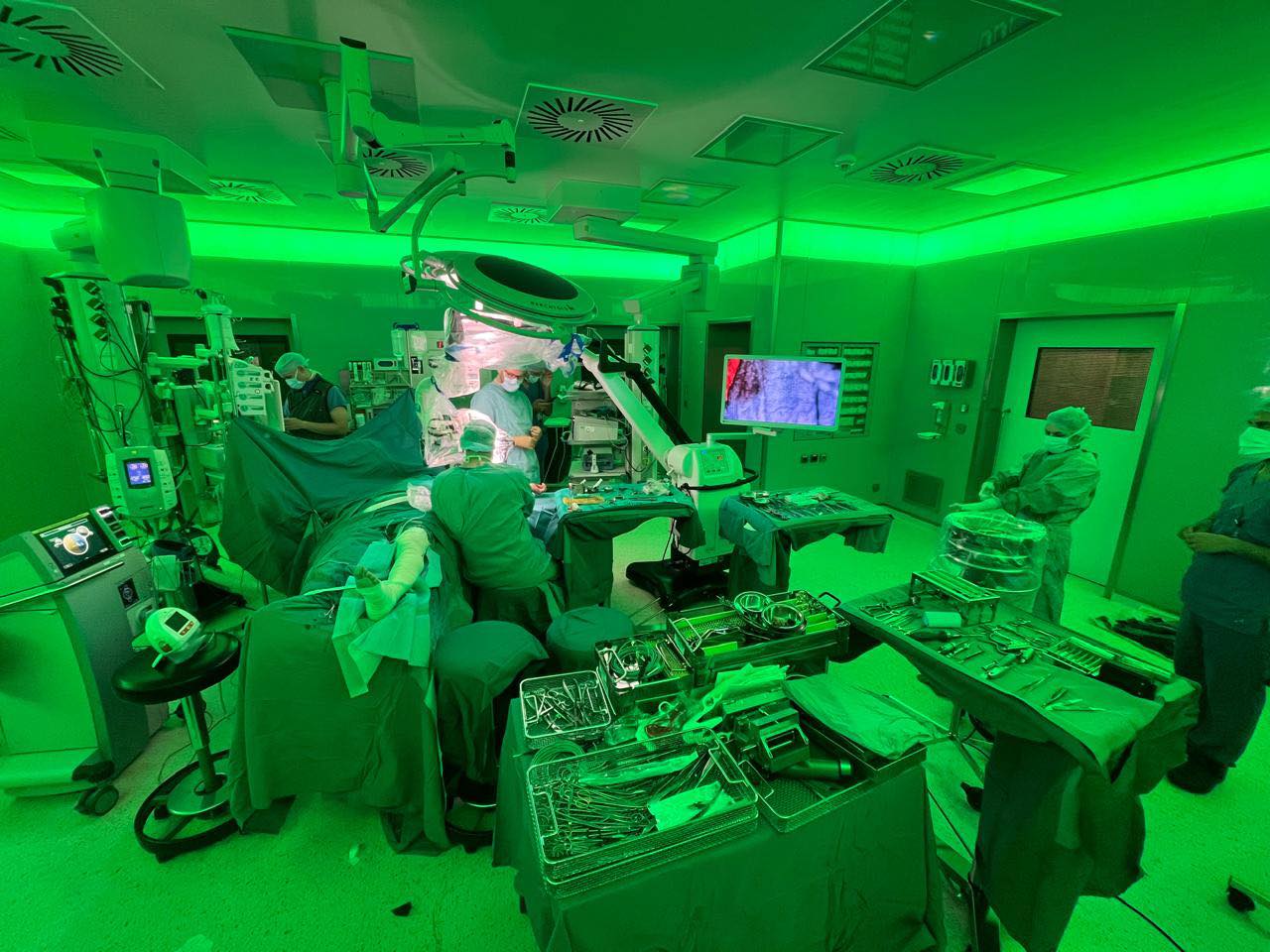 594614059 1446221777071387 3319480771276335020 n