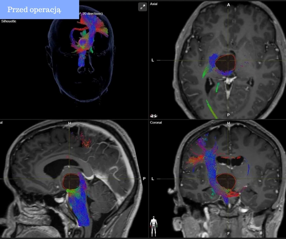 594421080 122156585336857013 875740242373370449 n